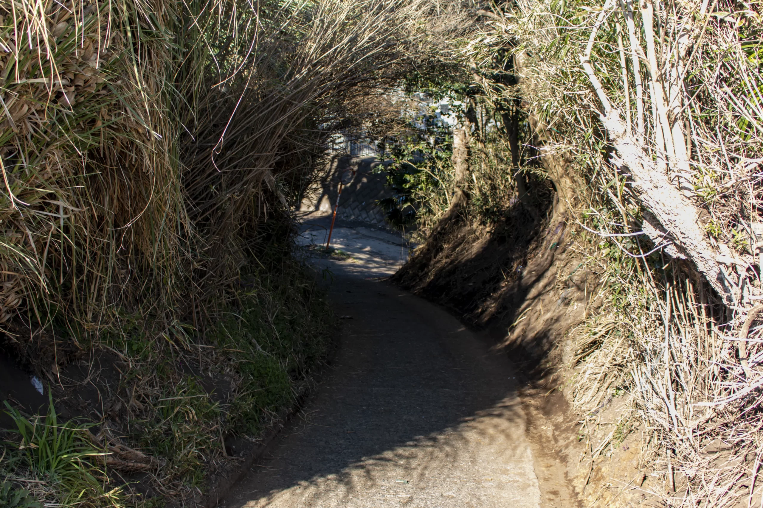 三崎口→長浜海岸→荒崎公園