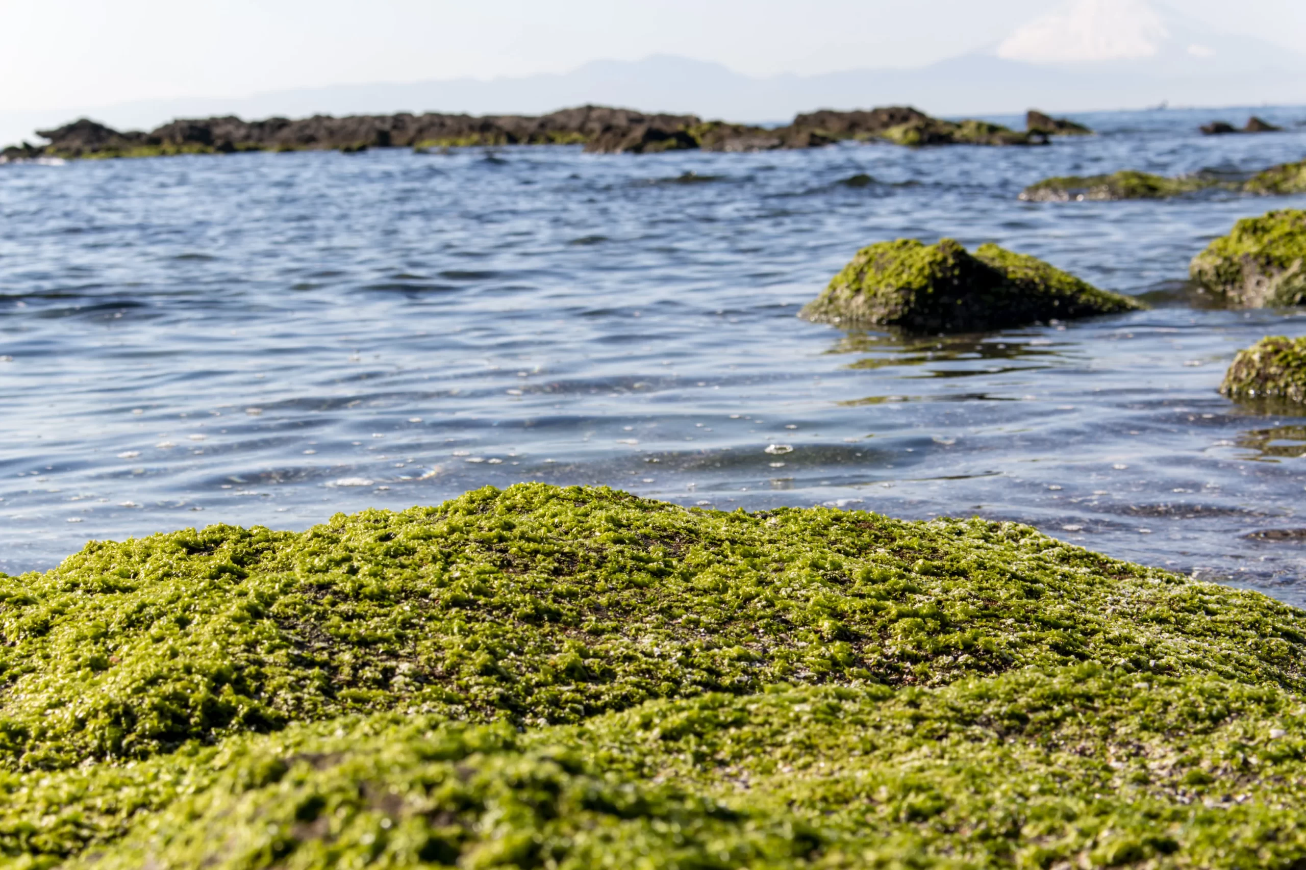三崎口→長浜海岸→荒崎公園