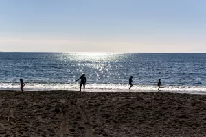 IMG_9085