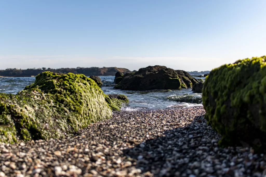 三崎口→長浜海岸→荒崎公園