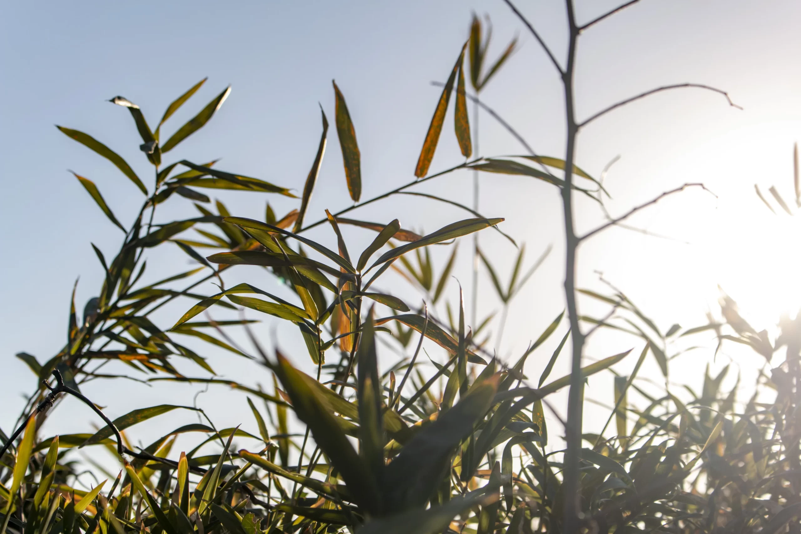 三崎口→長浜海岸→荒崎公園