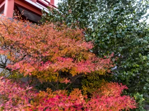R0012666