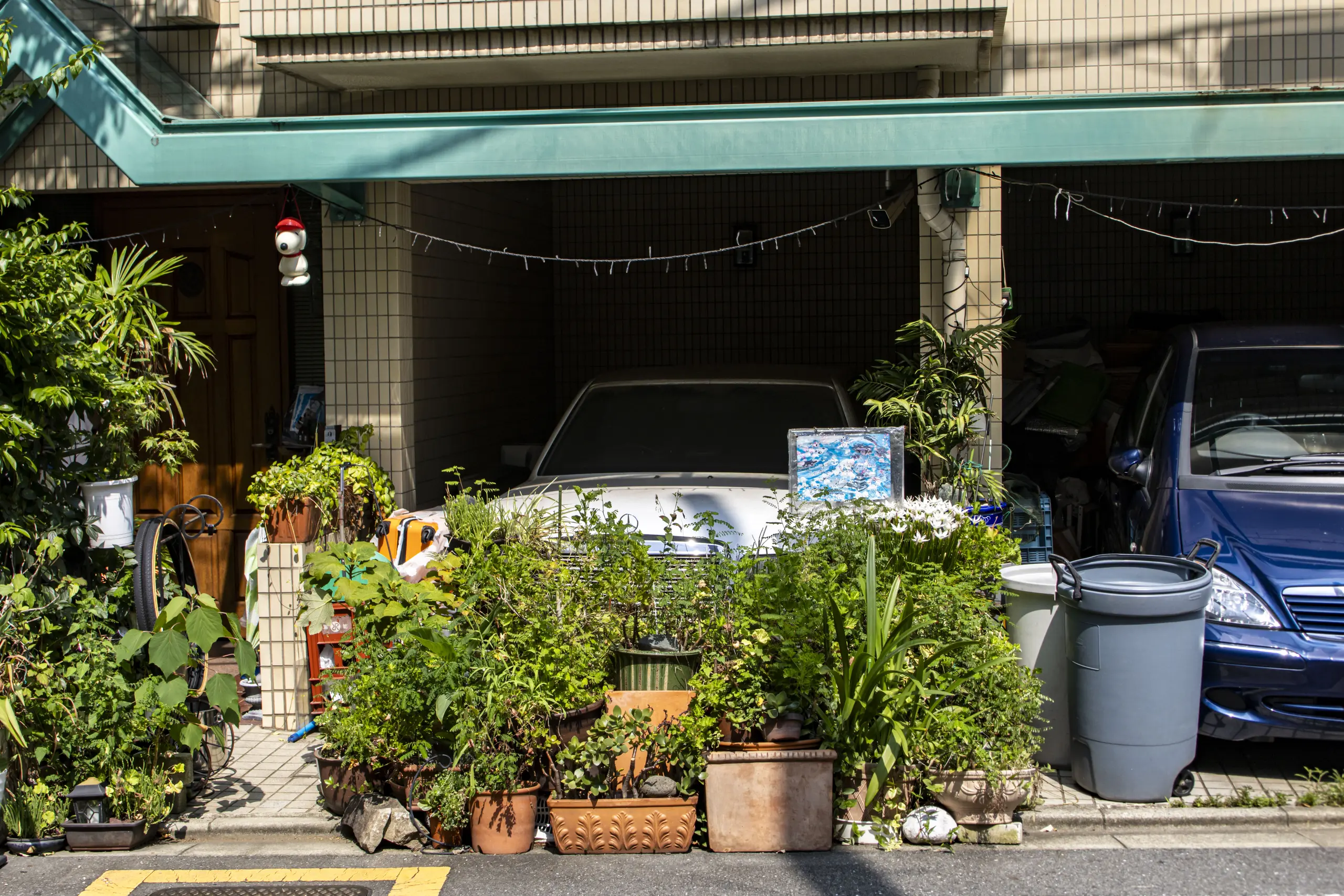 車出れない