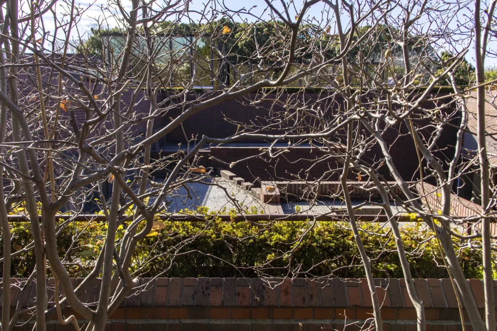 根岸駅→根岸森林公園→関内→みなとみらい→横浜駅