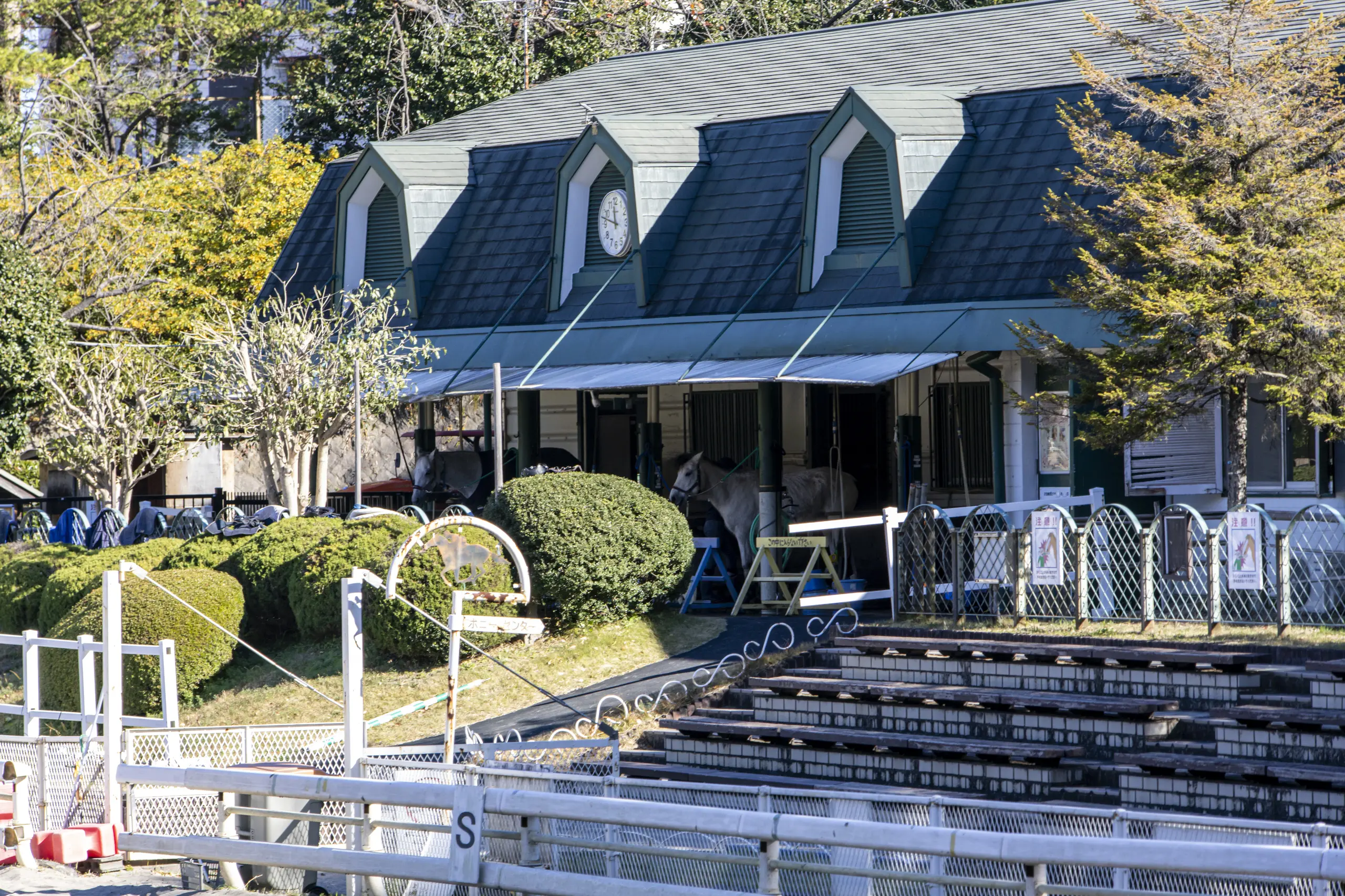根岸駅→根岸森林公園→関内→みなとみらい→横浜駅 No.7