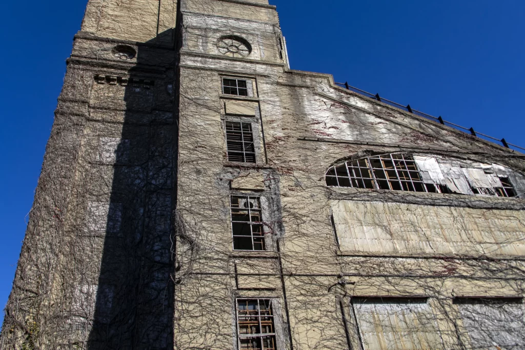 根岸駅→根岸森林公園→関内→みなとみらい→横浜駅