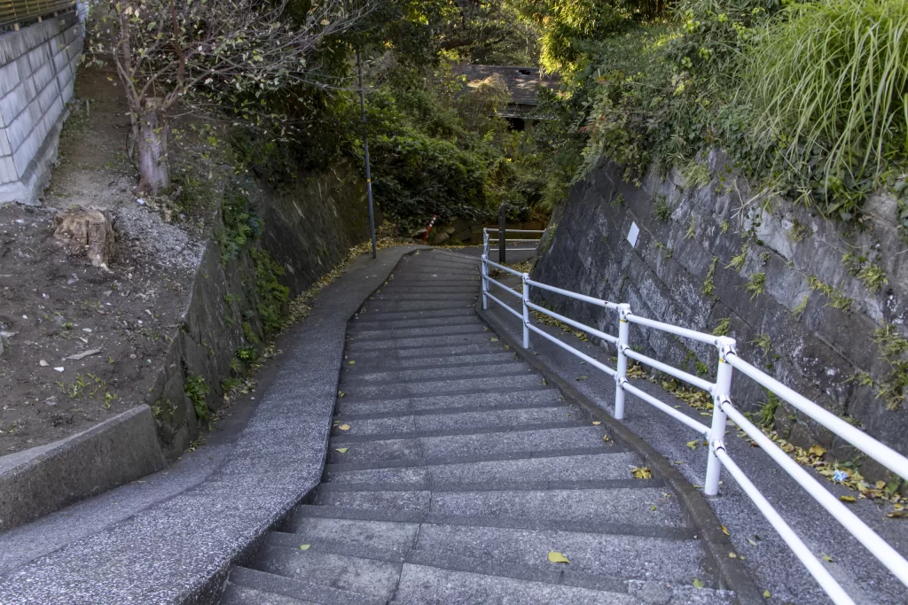 根岸駅→根岸森林公園→関内→みなとみらい→横浜駅