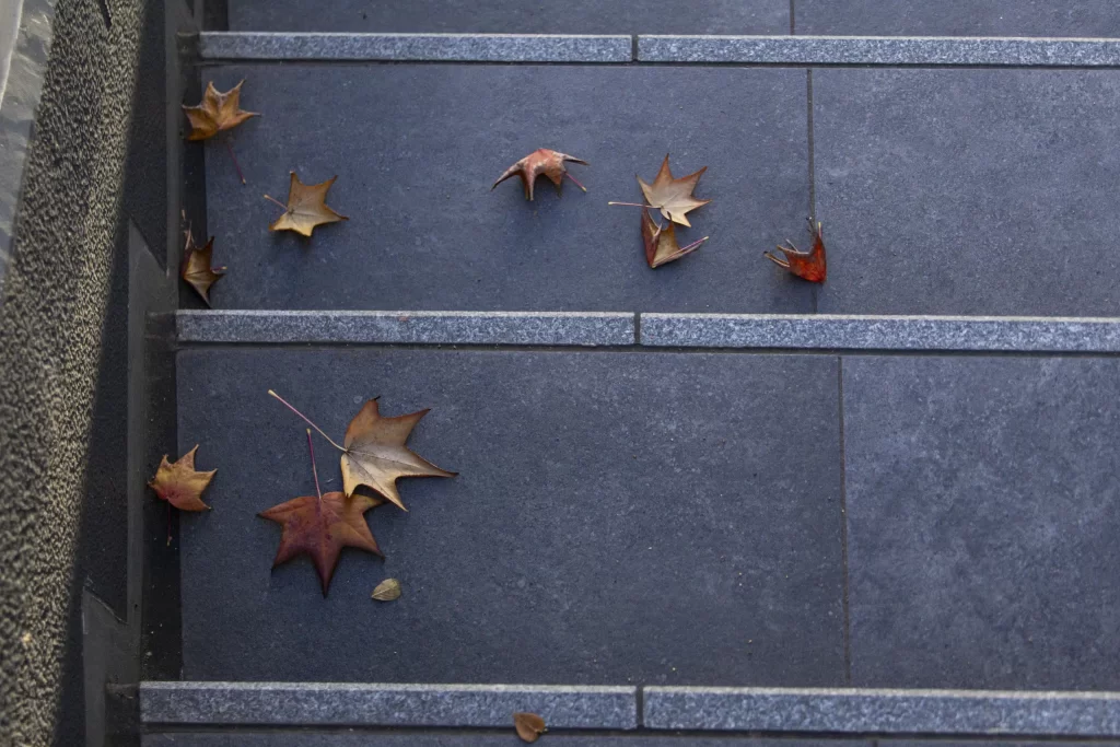 根岸駅→根岸森林公園→関内→みなとみらい→横浜駅