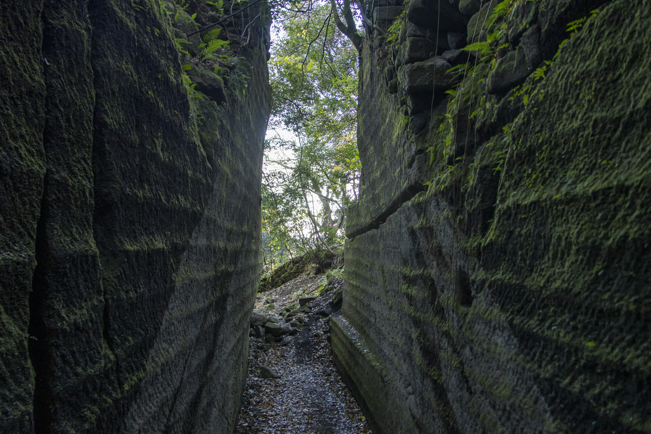 千葉鋸山散策→日本寺 No.21