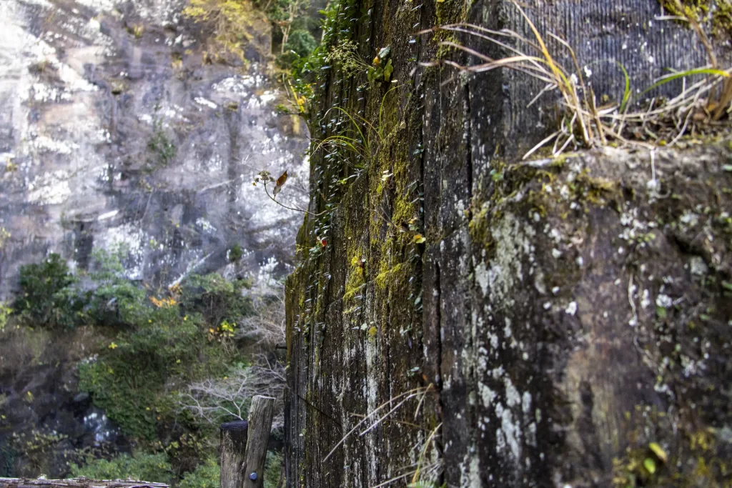 千葉鋸山散策→日本寺
