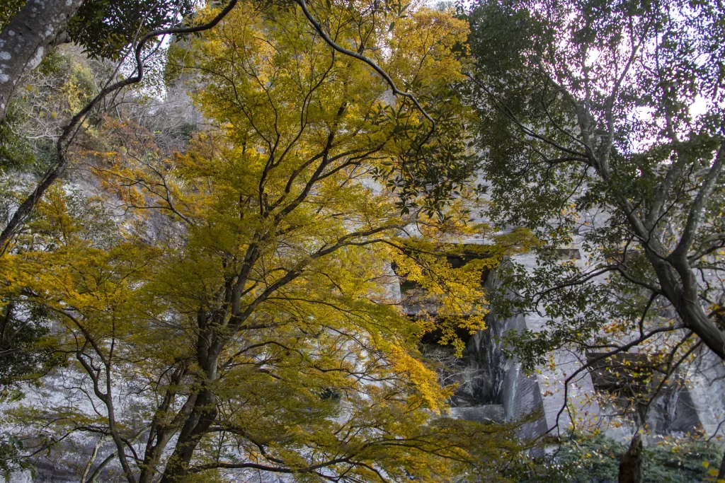 千葉鋸山散策→日本寺