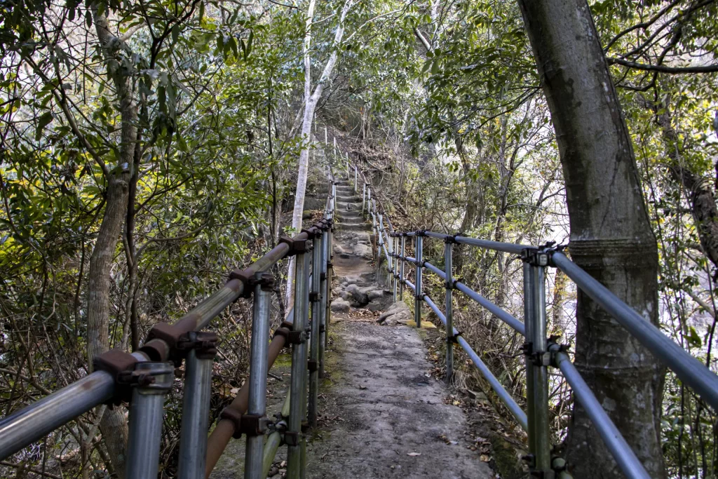 千葉鋸山散策→日本寺