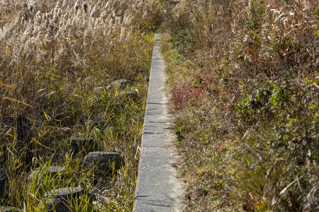 蒲田→七辻→多摩川