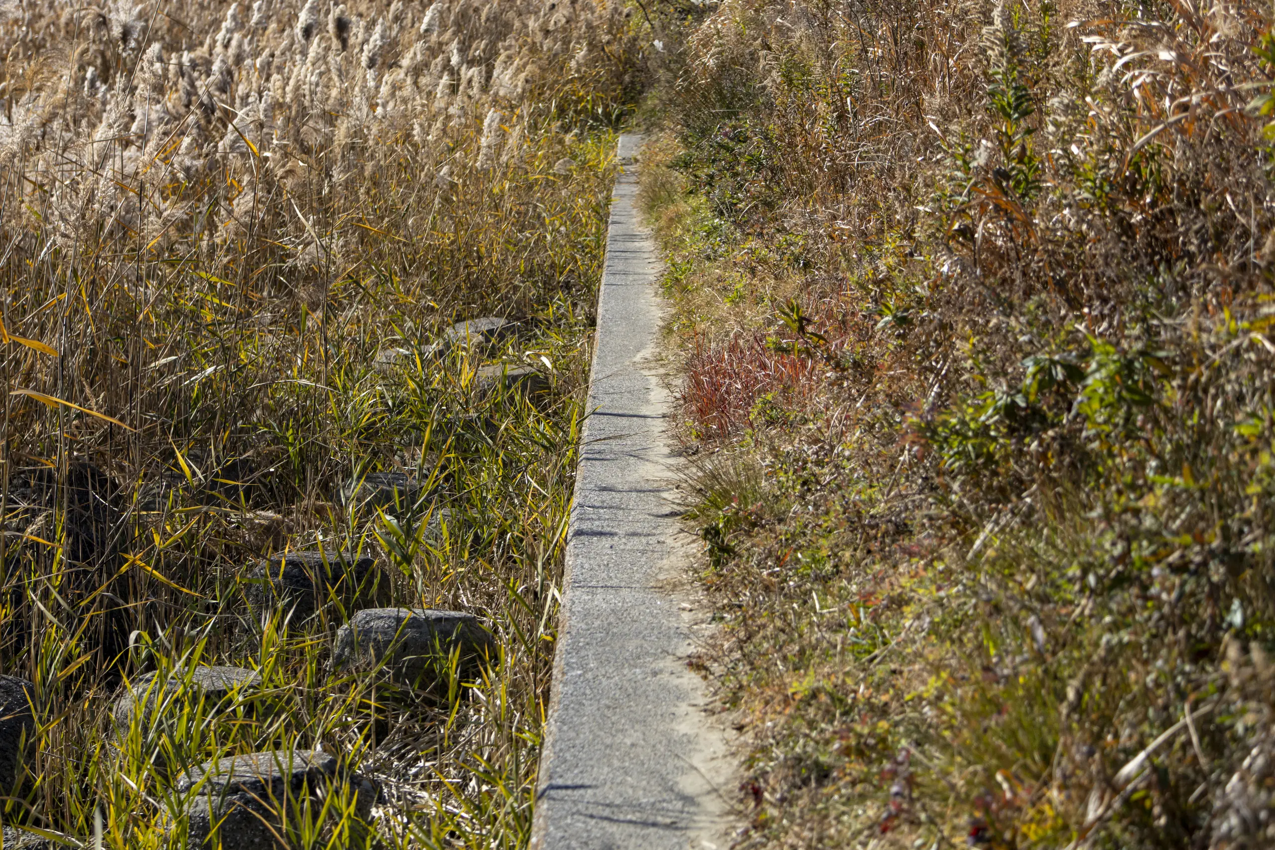 蒲田→七辻→多摩川 No.19