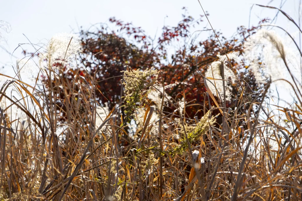 蒲田→七辻→多摩川