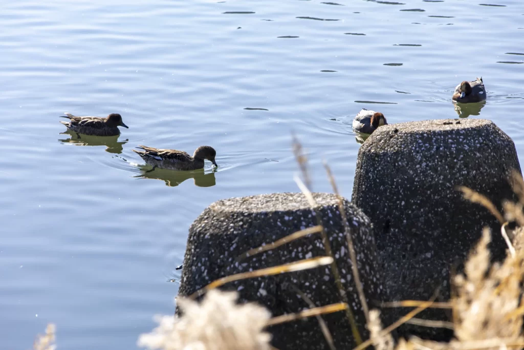 蒲田→七辻→多摩川