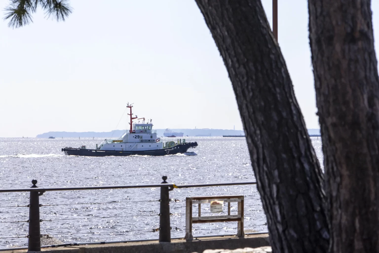 大黒ふ頭海釣り公園