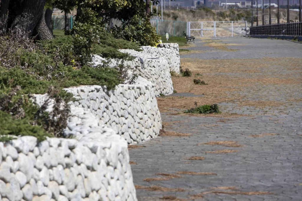 大黒ふ頭海釣り公園