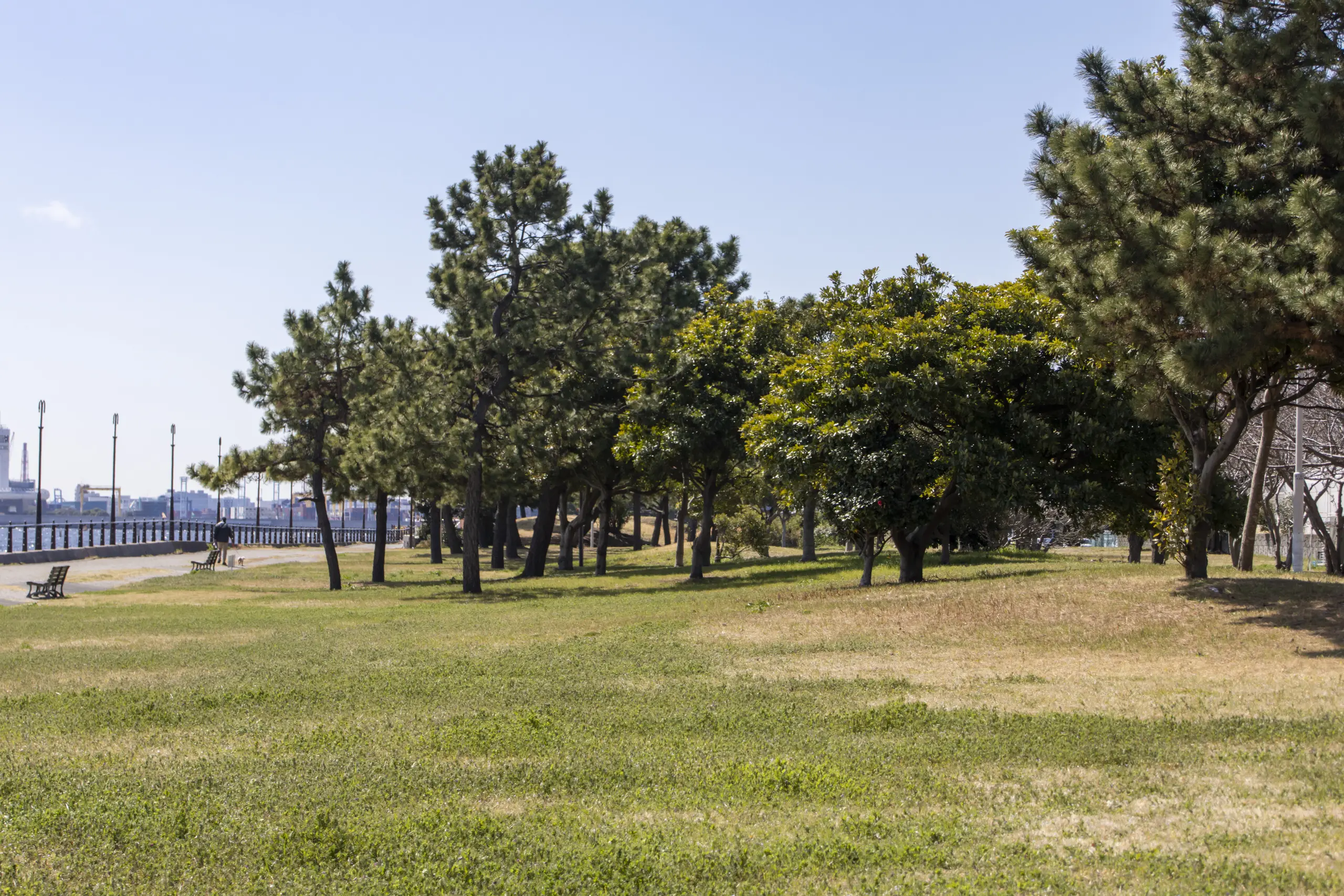 大黒ふ頭海釣り公園
