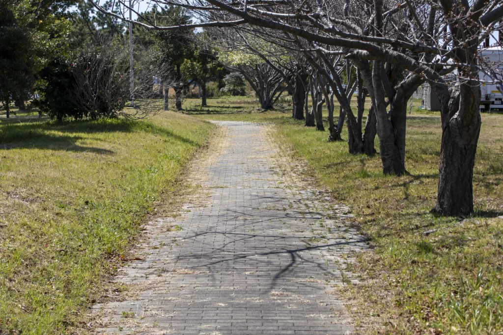 大黒ふ頭海釣り公園