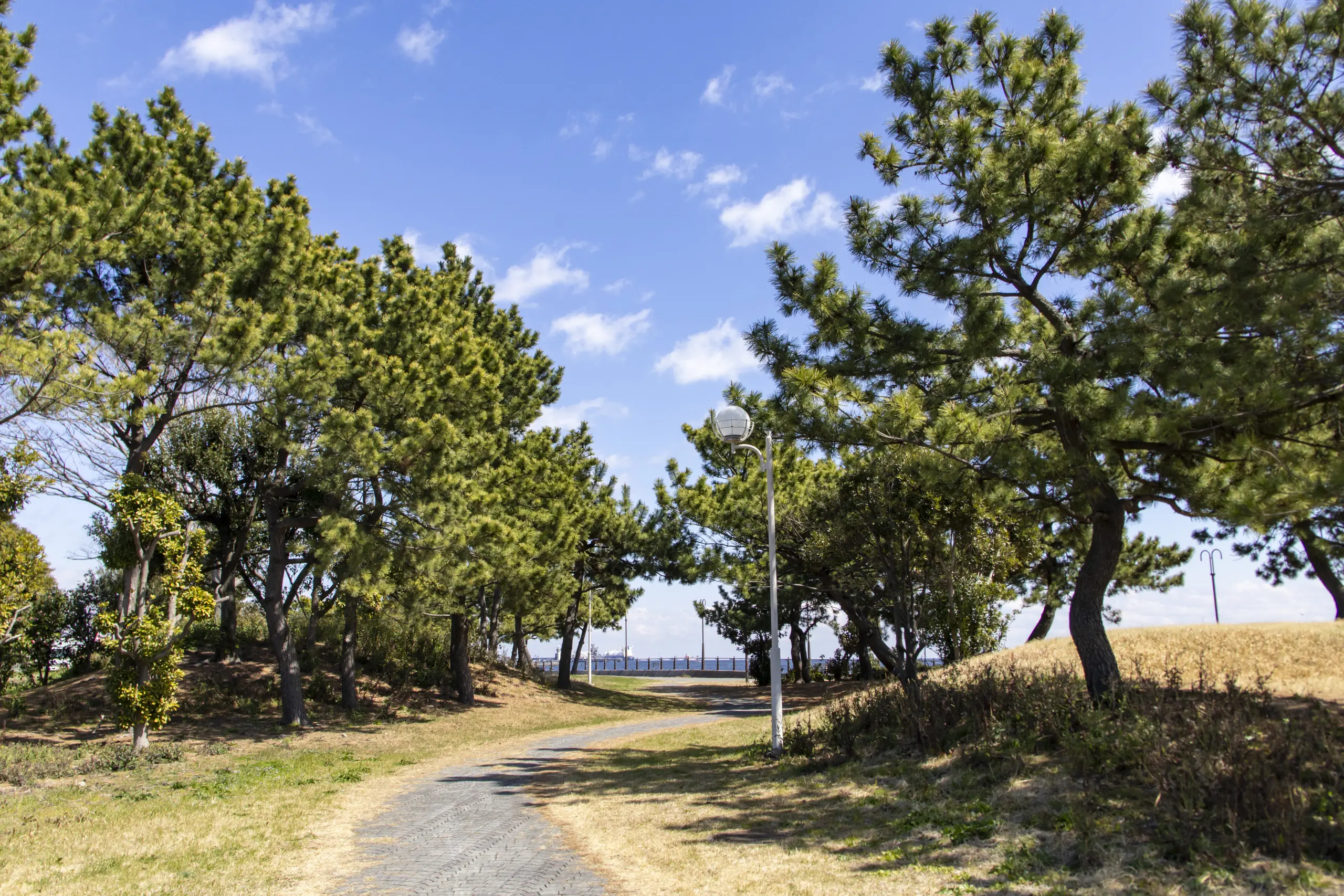 大黒ふ頭海釣り公園