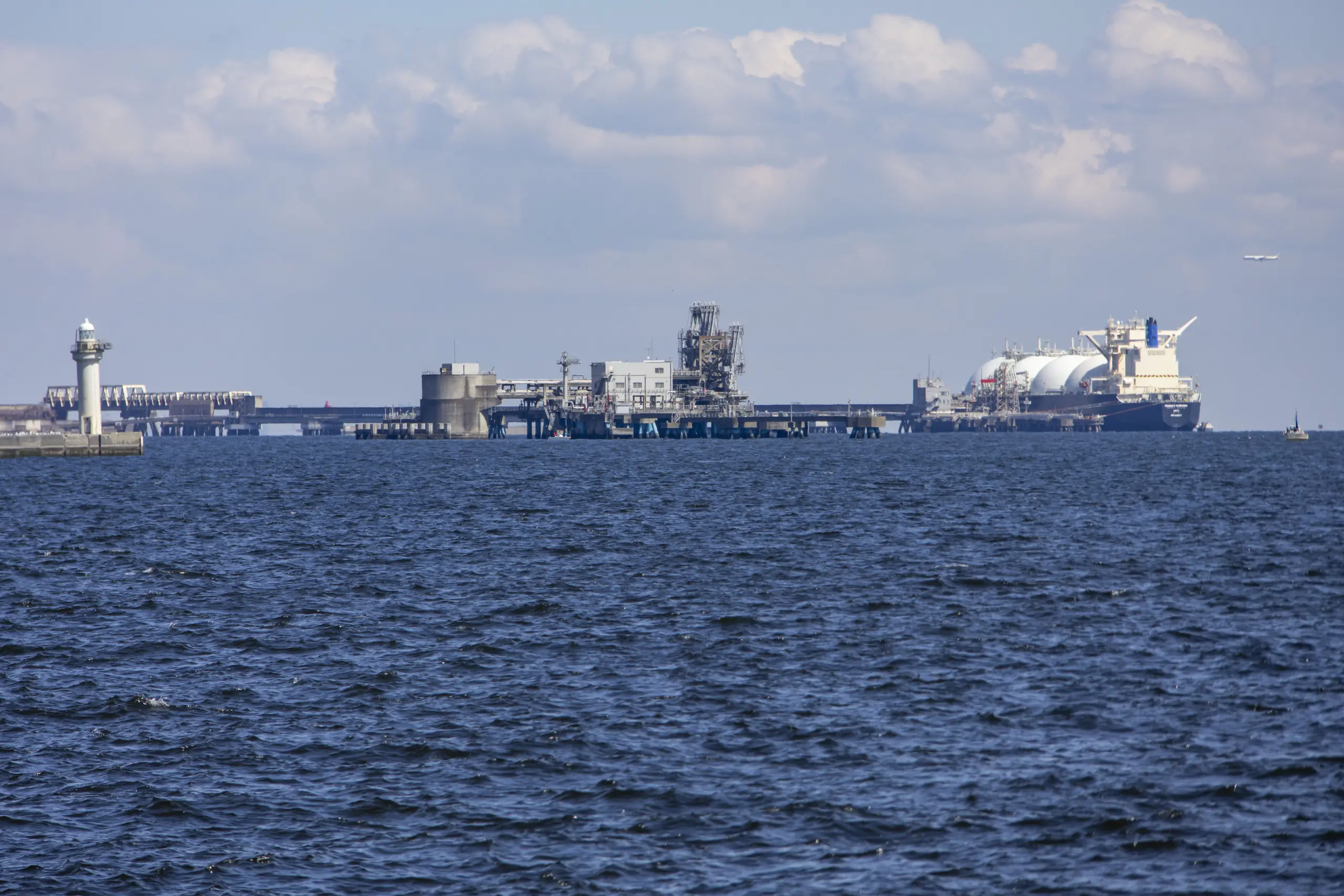 大黒ふ頭海釣り公園 No.17