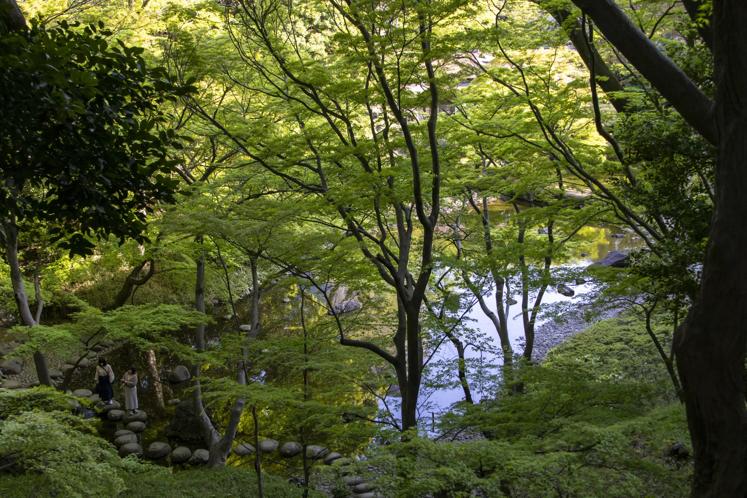 目白→学習院→江戸川橋→神田→東京駅→新橋