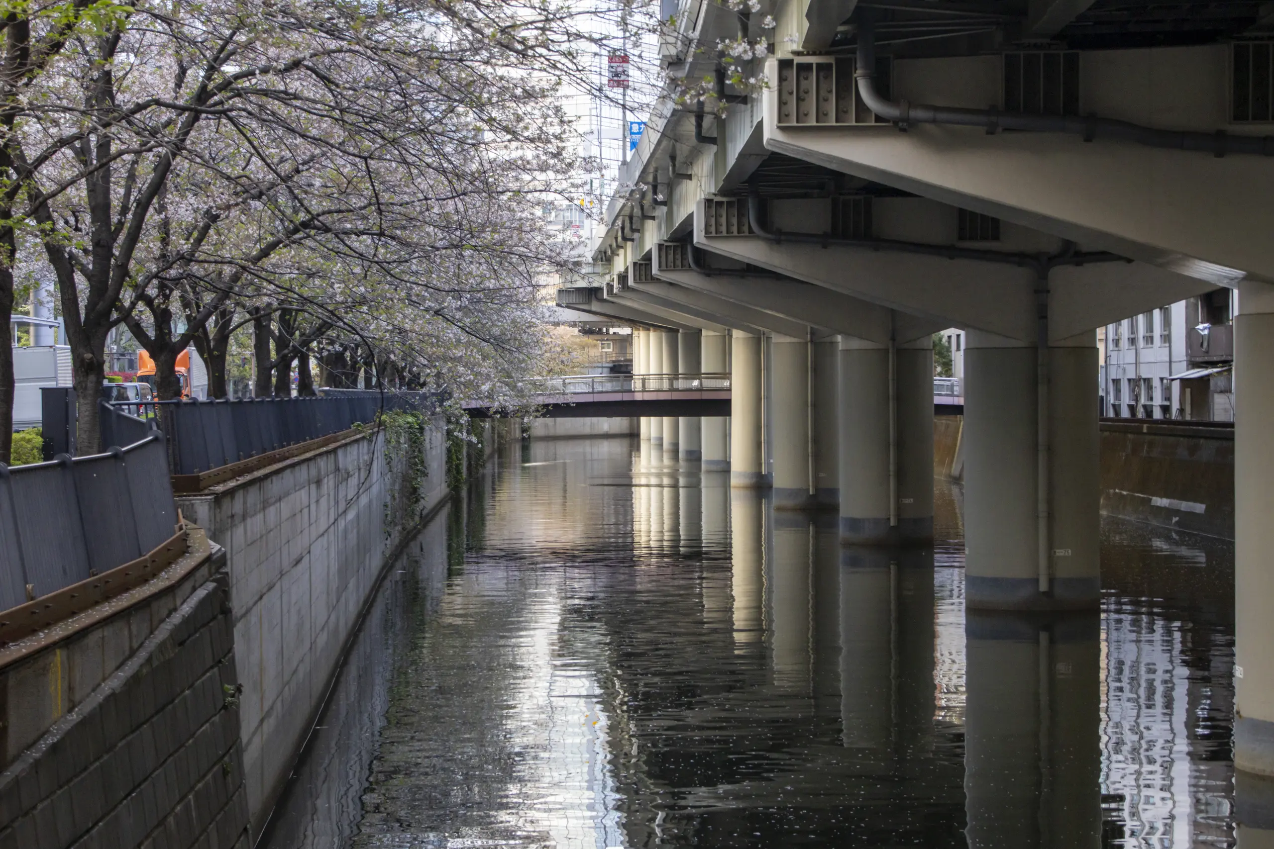 目白→学習院→江戸川橋→神田→東京駅→新橋 No.51