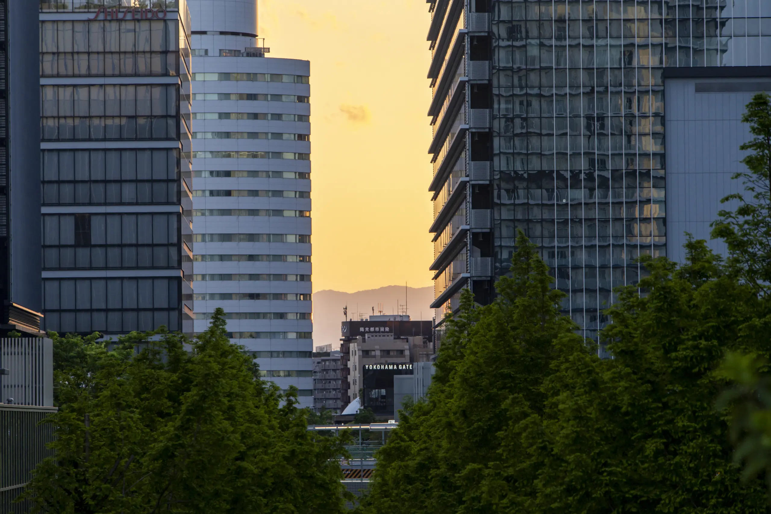 横濱ゲートタワーが見える！