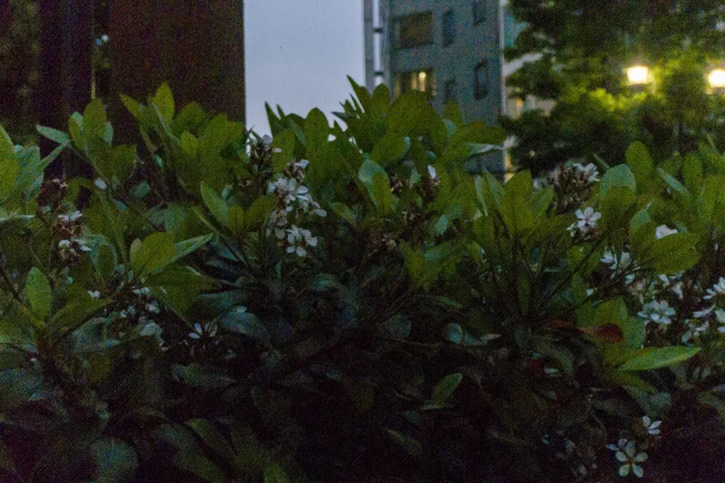 久しぶりにRicohGXRS10にて横浜