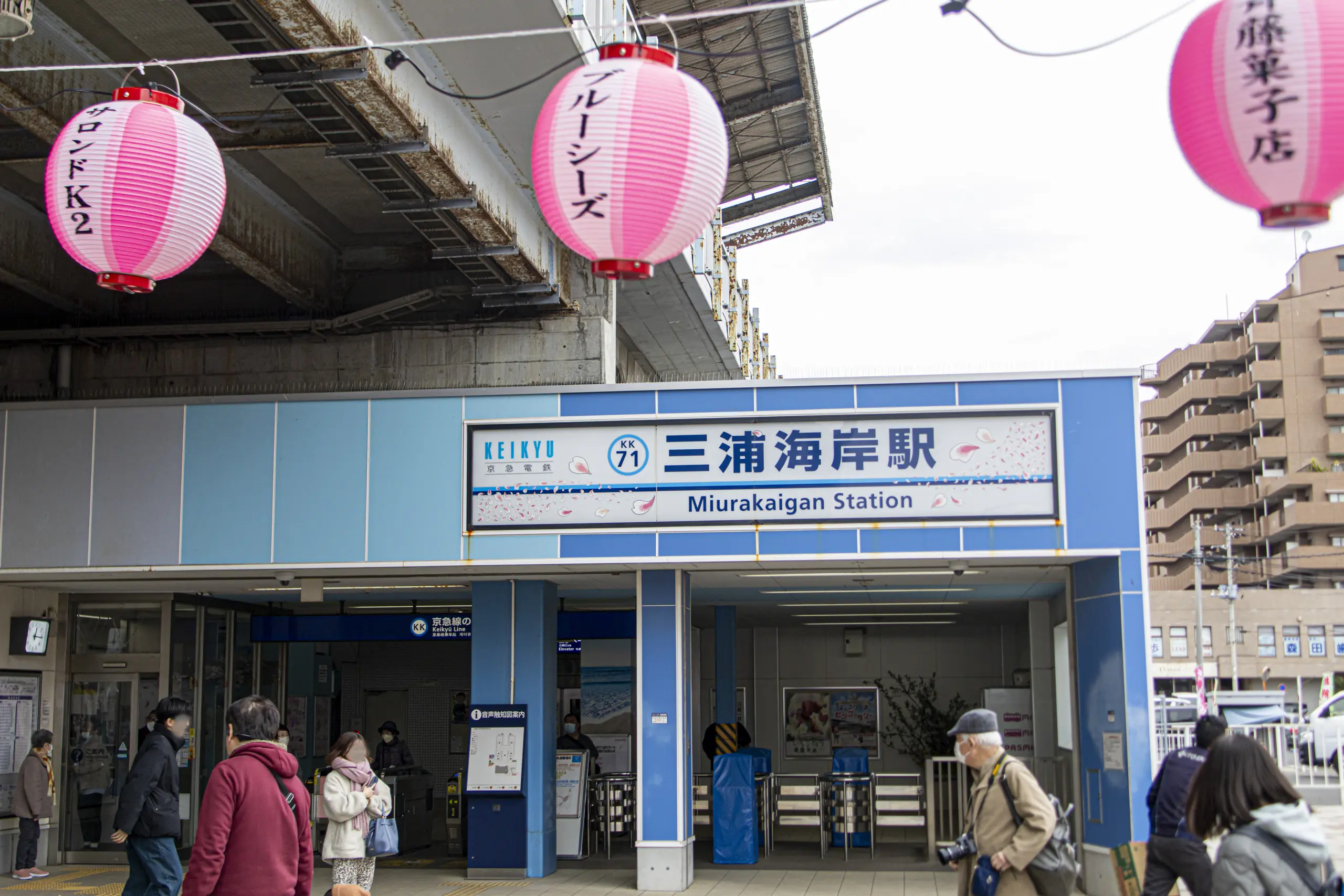 三崎口→小松ヶ池公園→河津桜並木→三浦海岸→津久井浜駅 No.23