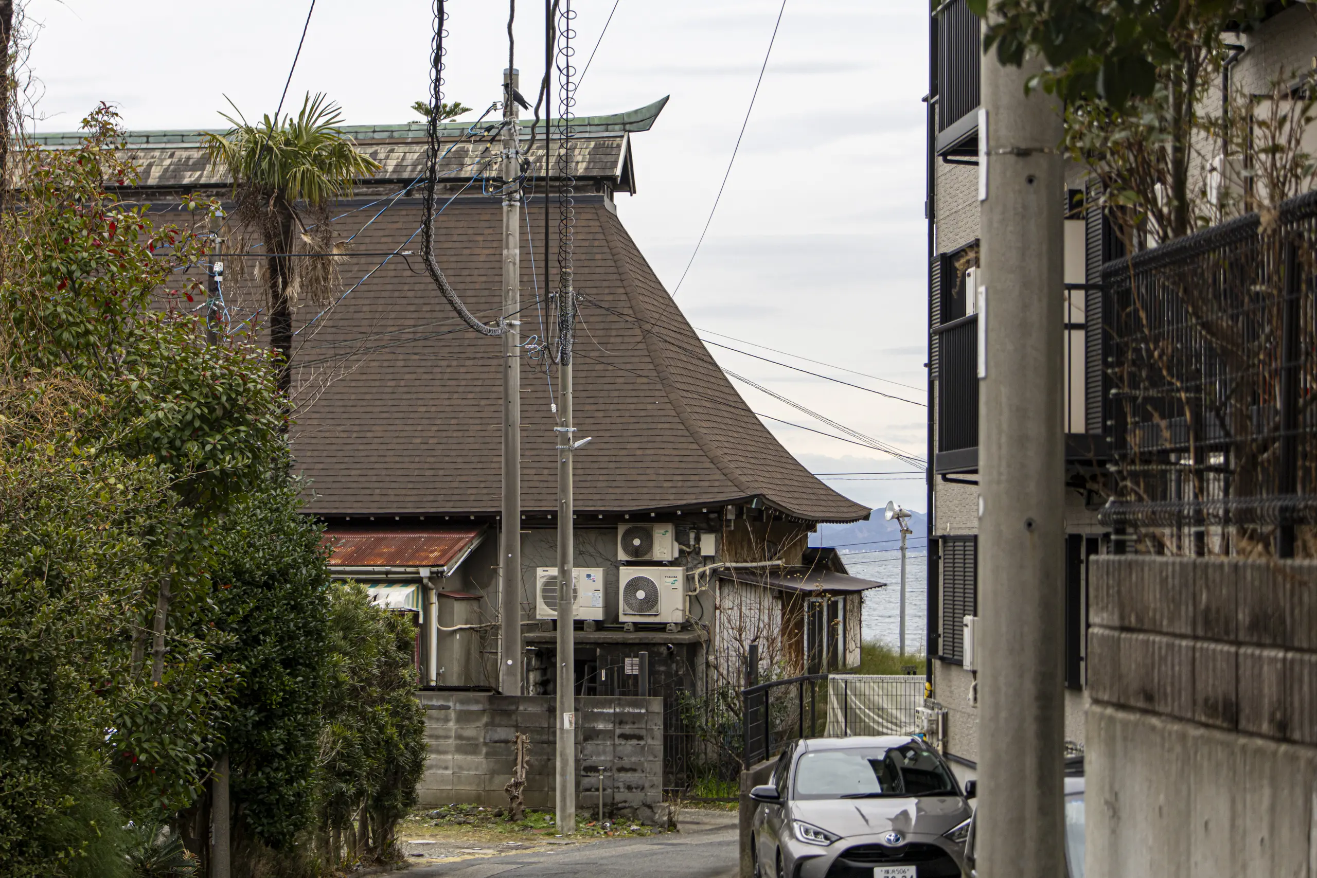三崎口→小松ヶ池公園→河津桜並木→三浦海岸→津久井浜駅 No.25