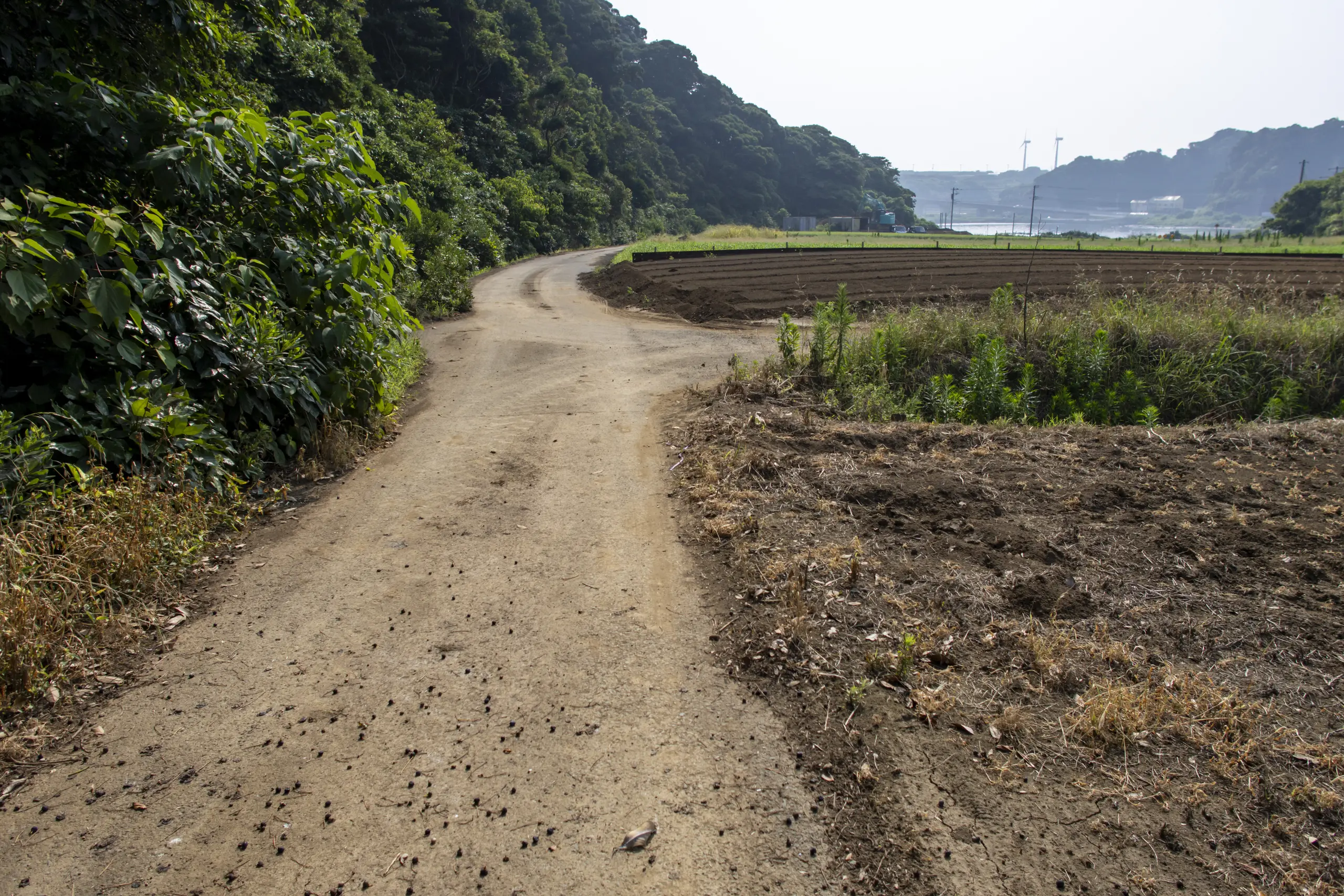 剱崎→三崎港 No.17