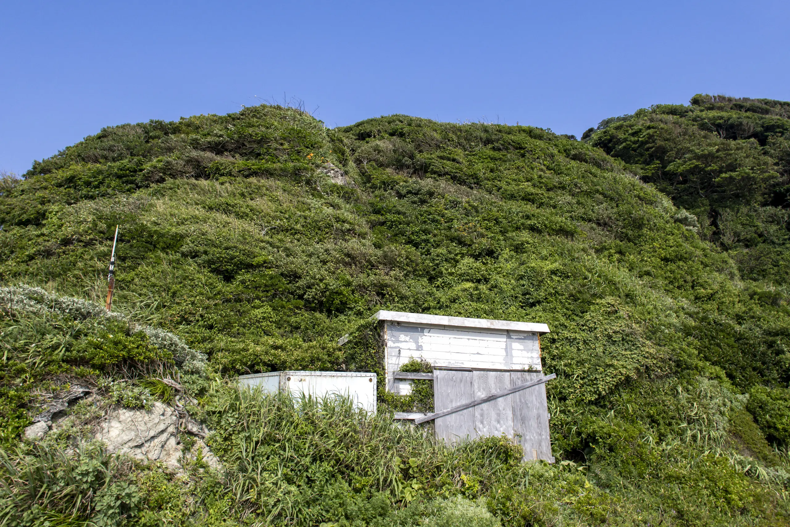 剱崎→三崎港 No.21