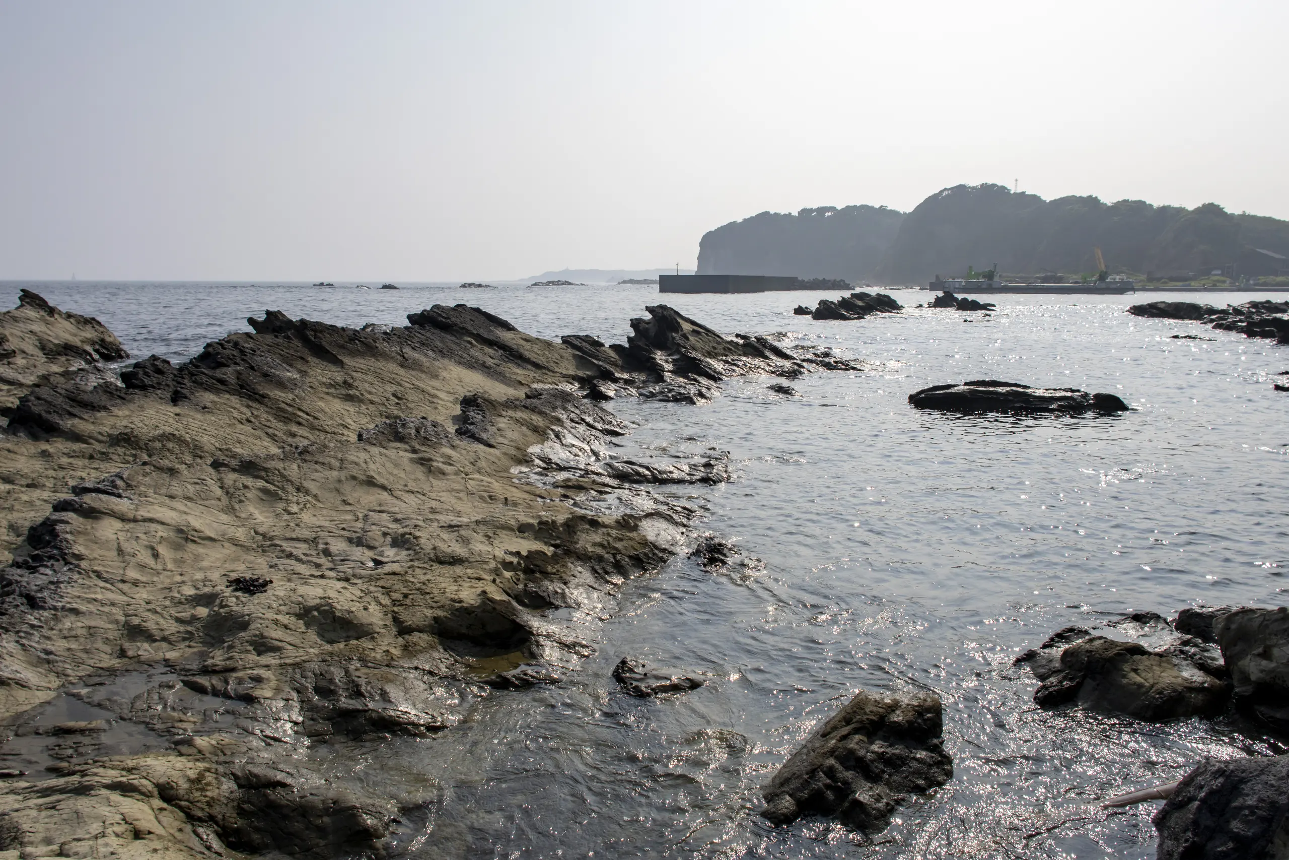 剱崎→三崎港 No.27