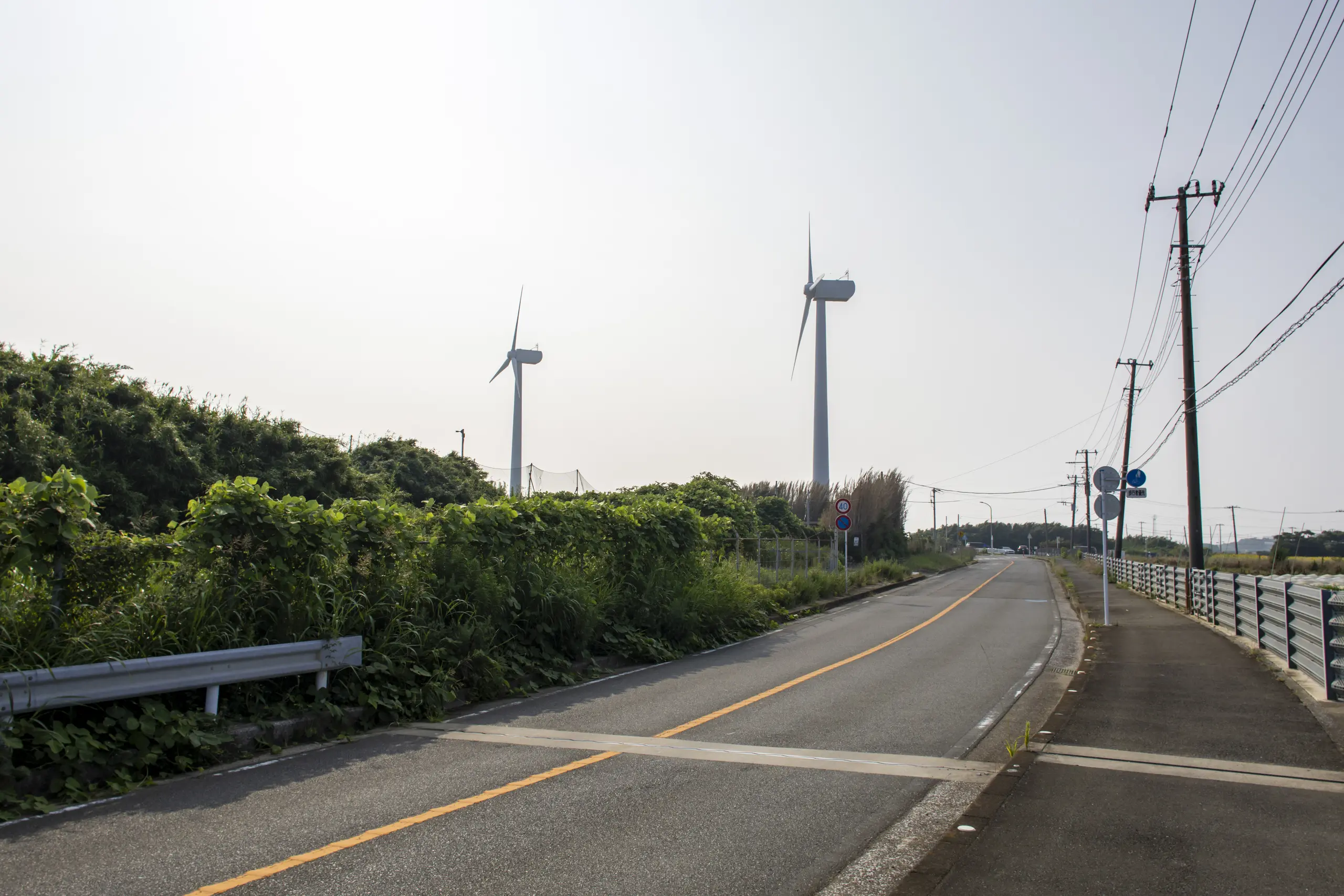 剱崎→三崎港 No.33