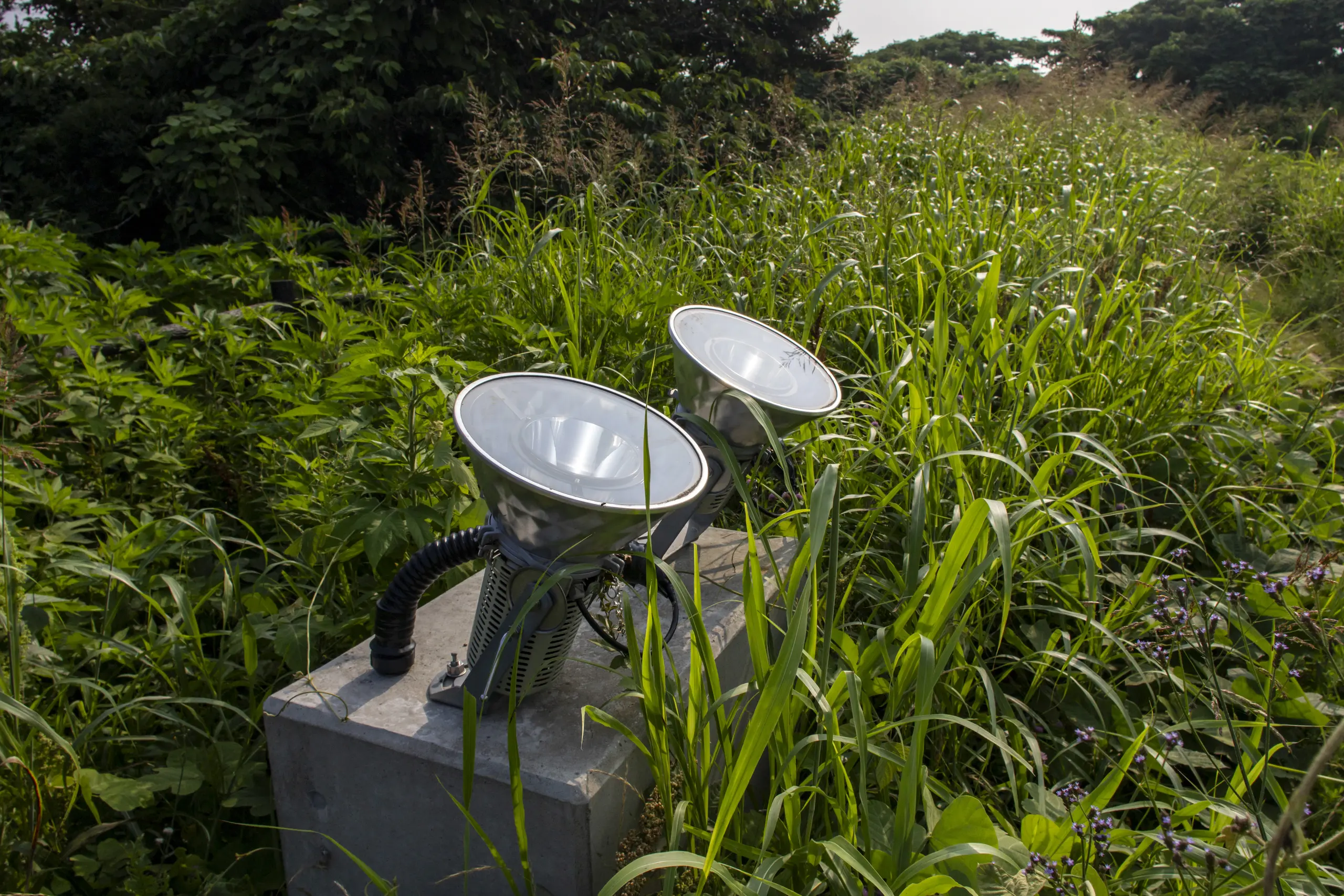 宮川公園