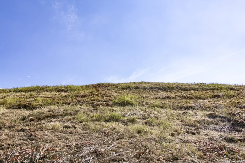 さいたま市、プラザウエストとか荒川とか