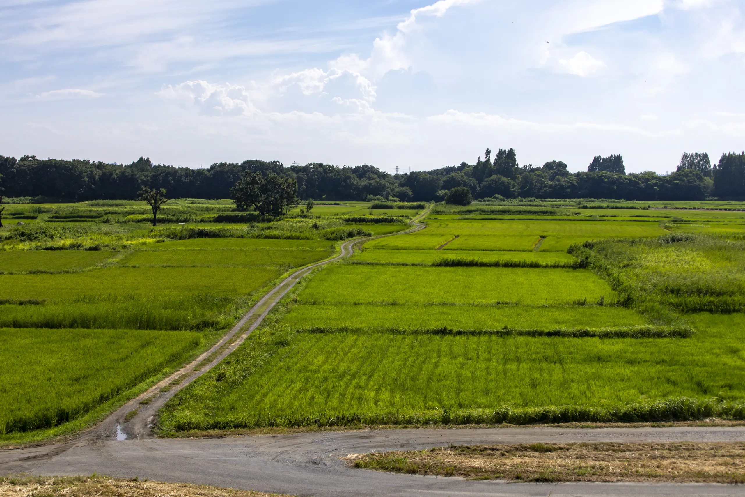 さいたま市、プラザウエストとか荒川とか No.7