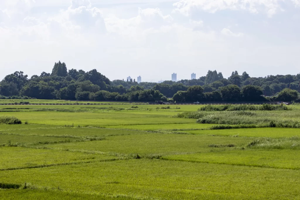 さいたま市、プラザウエストとか荒川とか