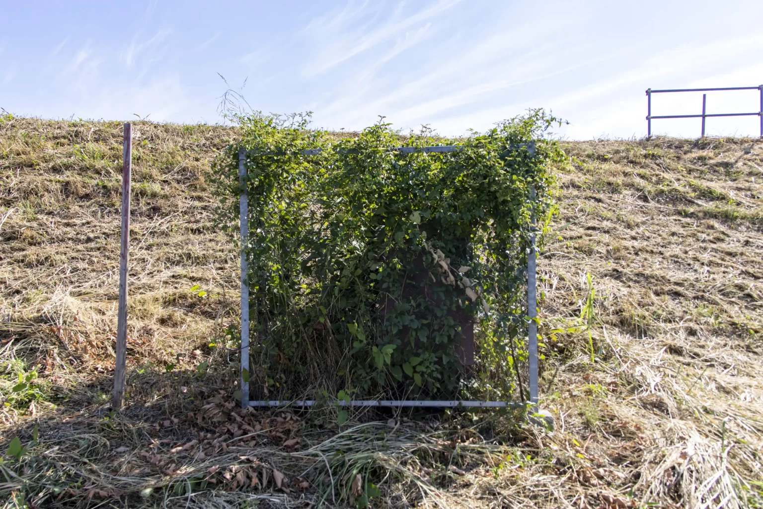 さいたま市、プラザウエストとか荒川とか