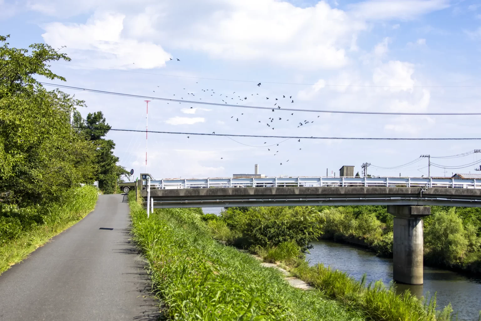 さいたま市、プラザウエストとか荒川とか