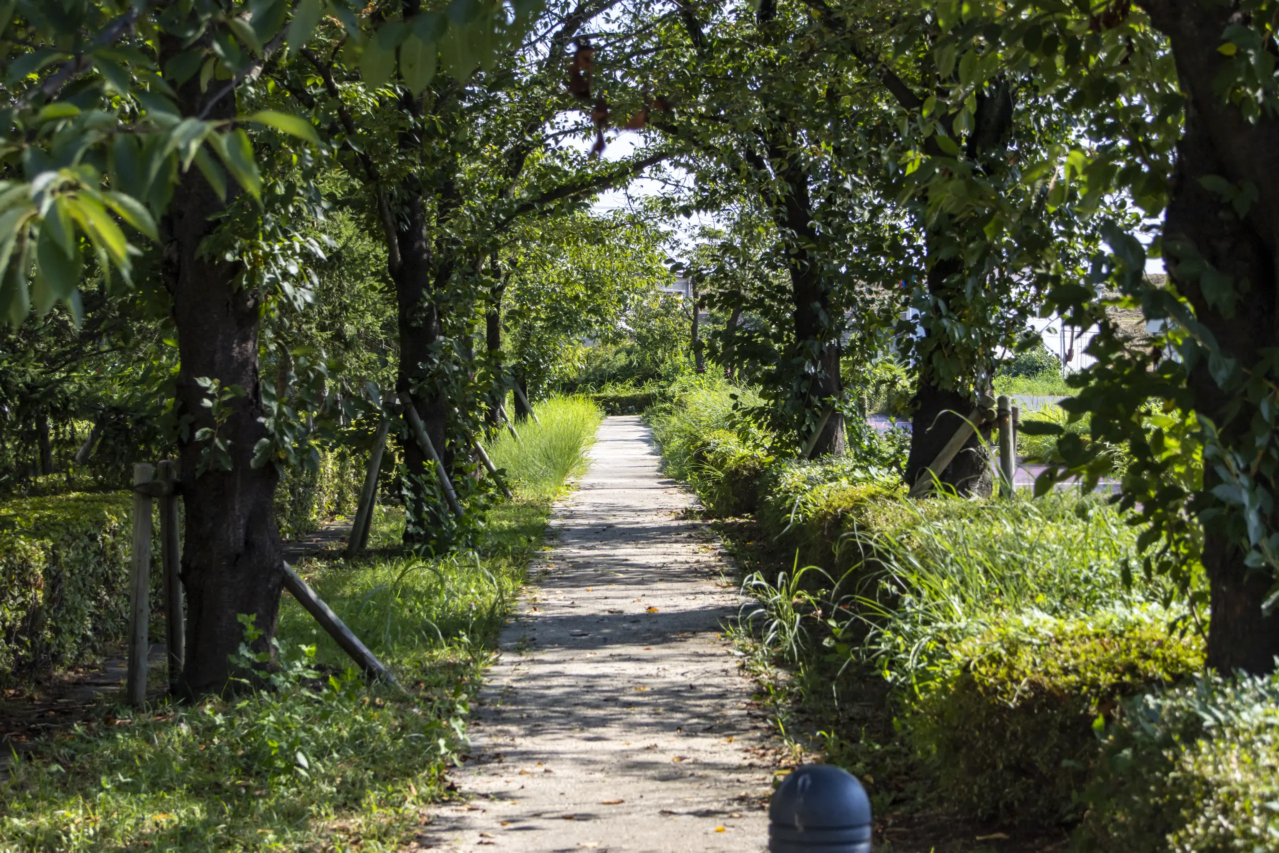 さいたま市、プラザウエストとか荒川とか