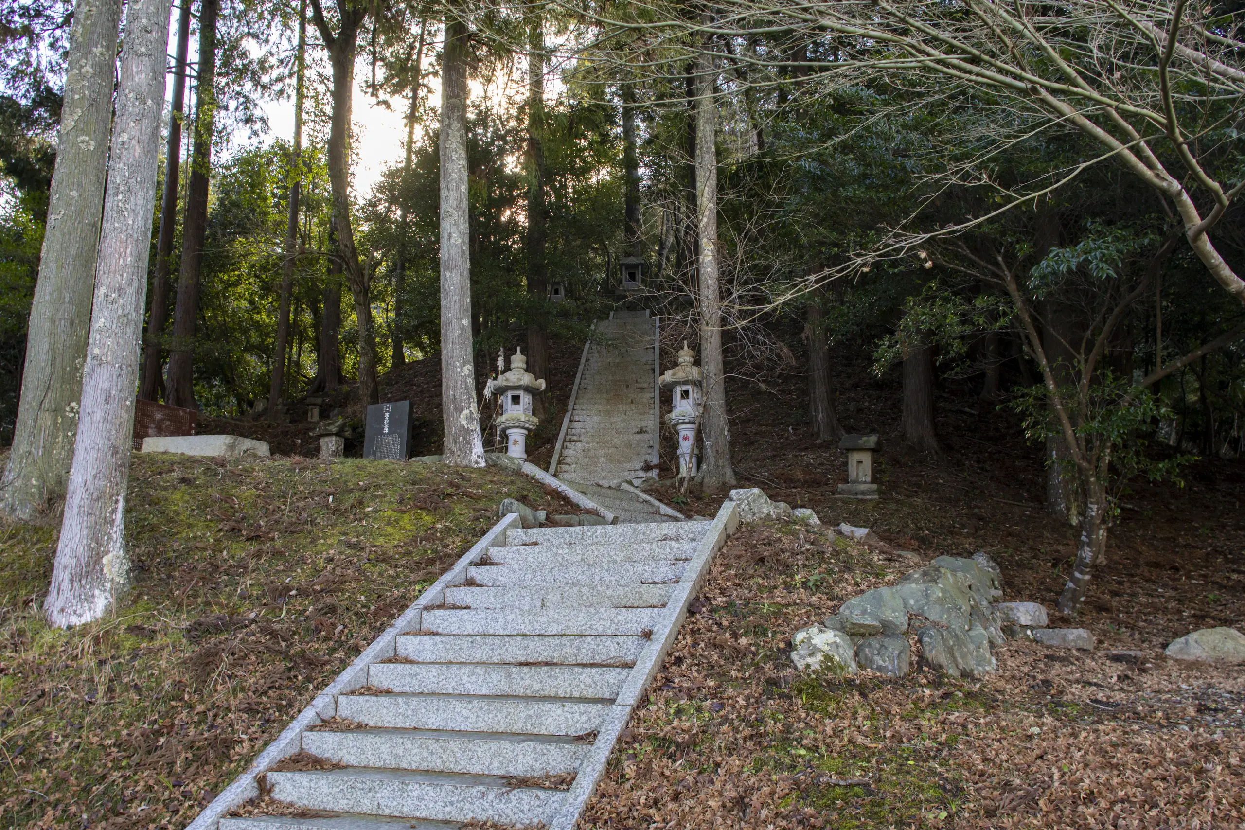 千葉亀山ダム周辺