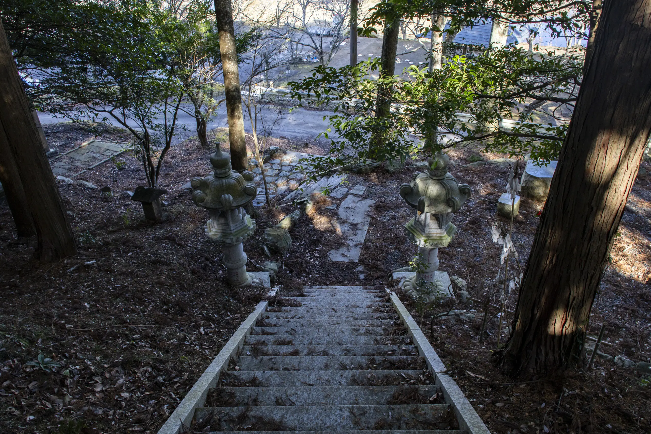 千葉亀山ダム周辺 No.6