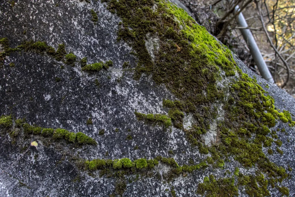 千葉亀山ダム周辺