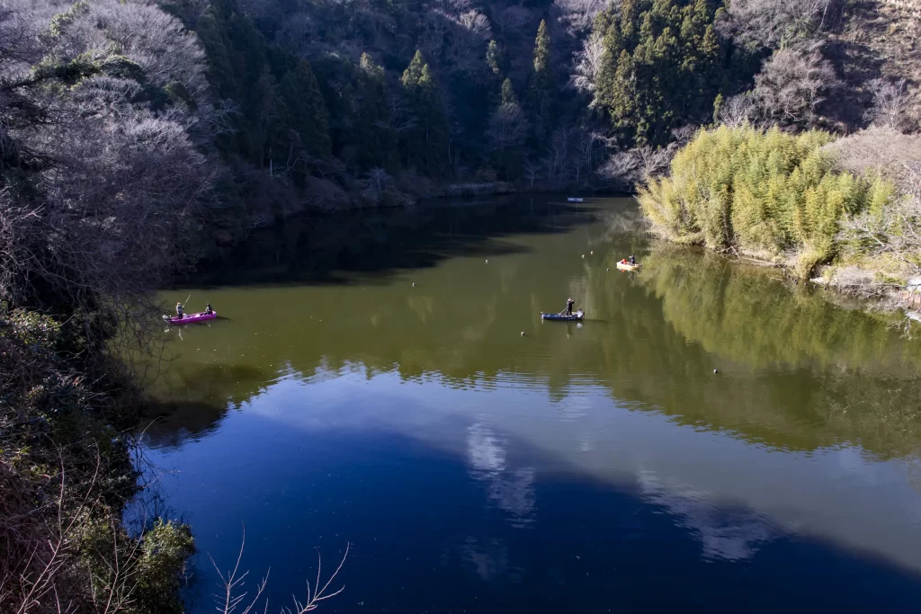 千葉亀山ダム周辺