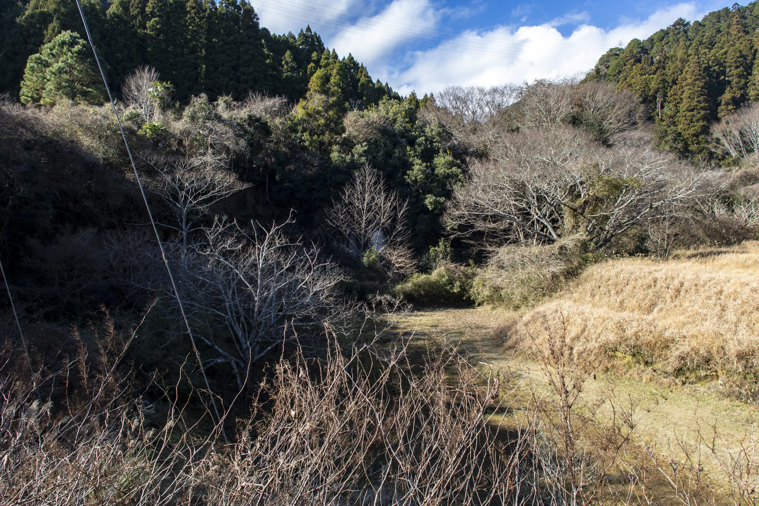 千葉亀山ダム周辺 No.22