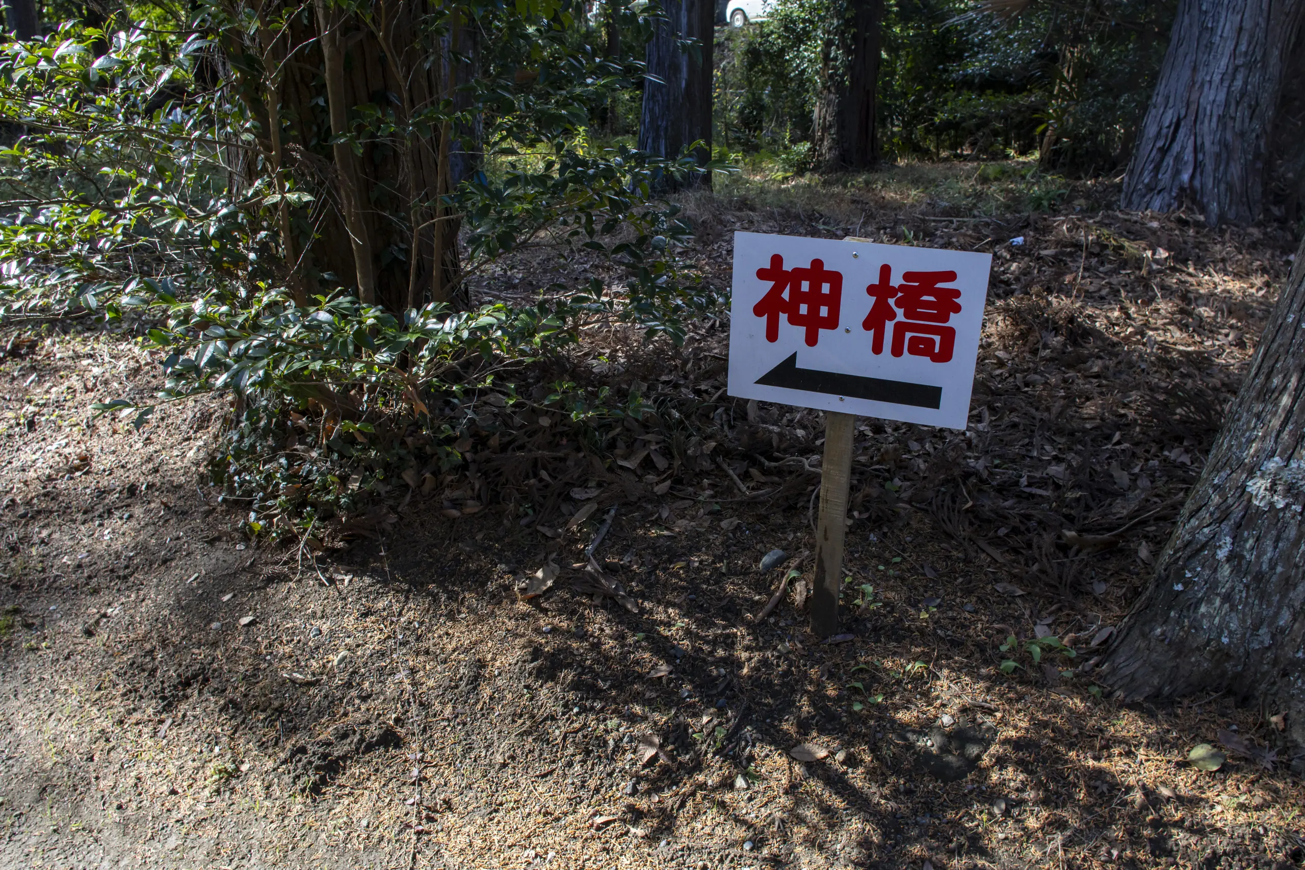 千葉亀山ダム周辺 No.23