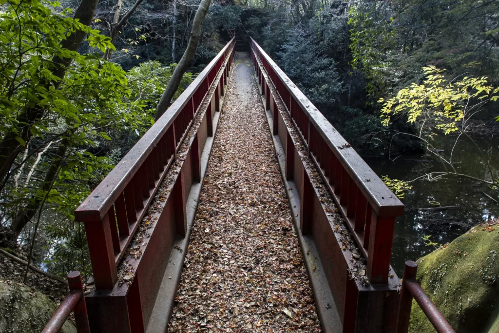 千葉亀山ダム周辺
